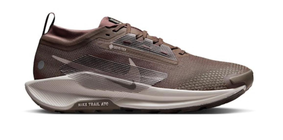 Men's Nike Pegasus Trail 5 GTX (CLEARANCE)